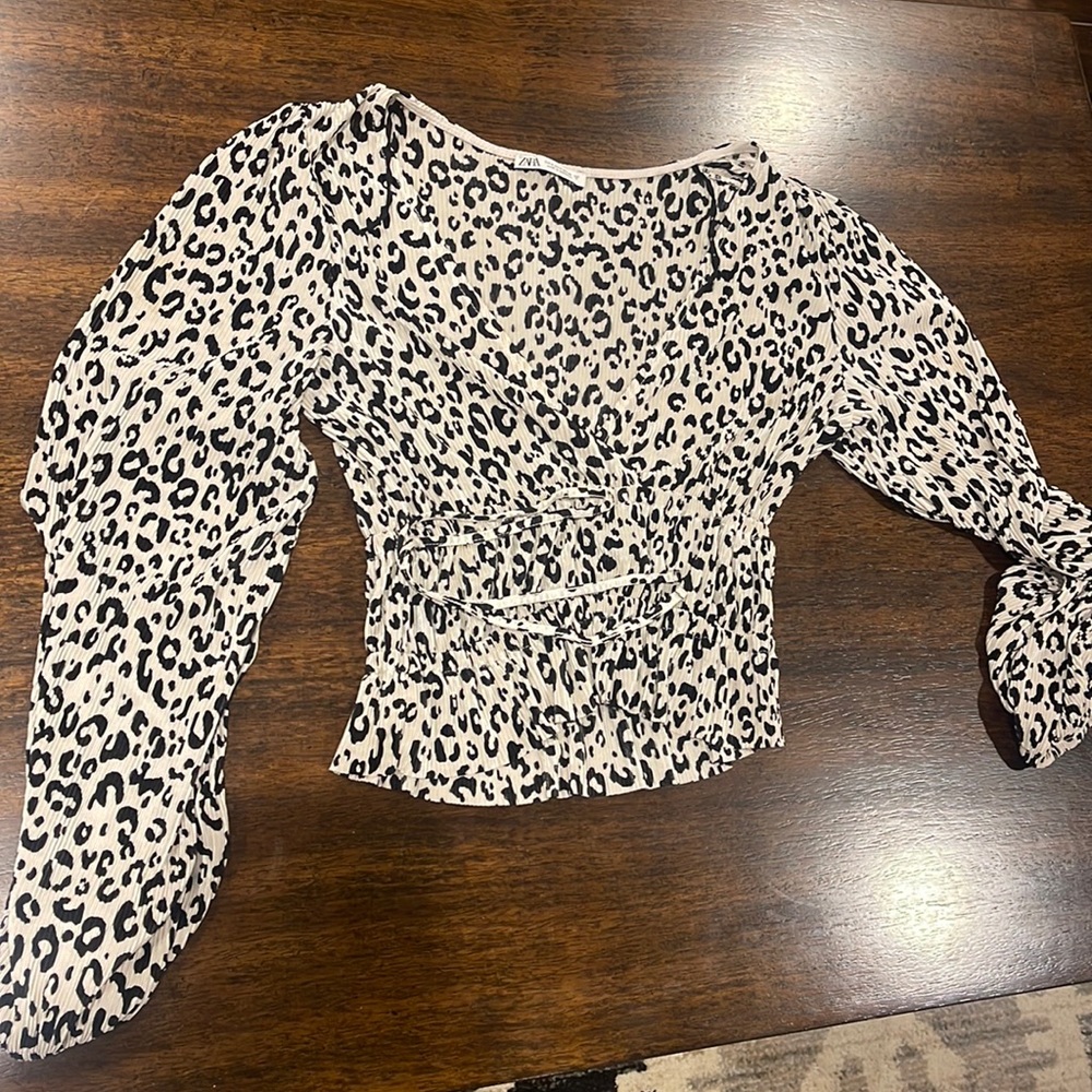 Zara Top